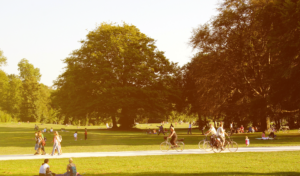 Lyra, comunidad sustentable